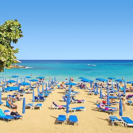 Sharon - Coralli Beachfront Casa de Férias Protaras